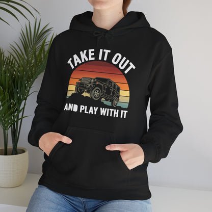 Catch Some Rays Vintage Retro Take It Out And Play Hoodie
