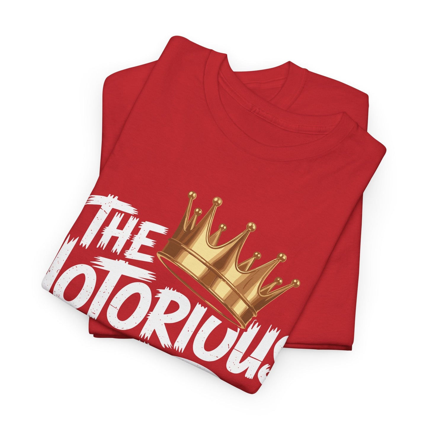 Old School Funny Hip Hop Fathers Day Notorious Dad T-Shirt