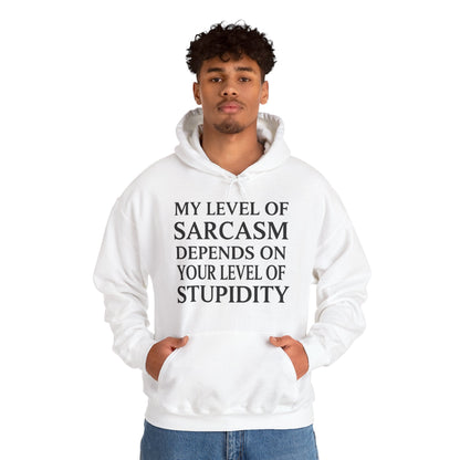 Funny Sarcastic Humor My Level of Sarcasm Sarcastic Quote Hoodie