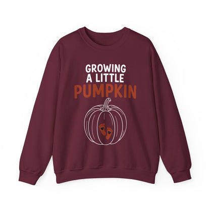Growing A Little Pumpkin Fall Thanksgiving Baby Bump Wife Sweatshirt