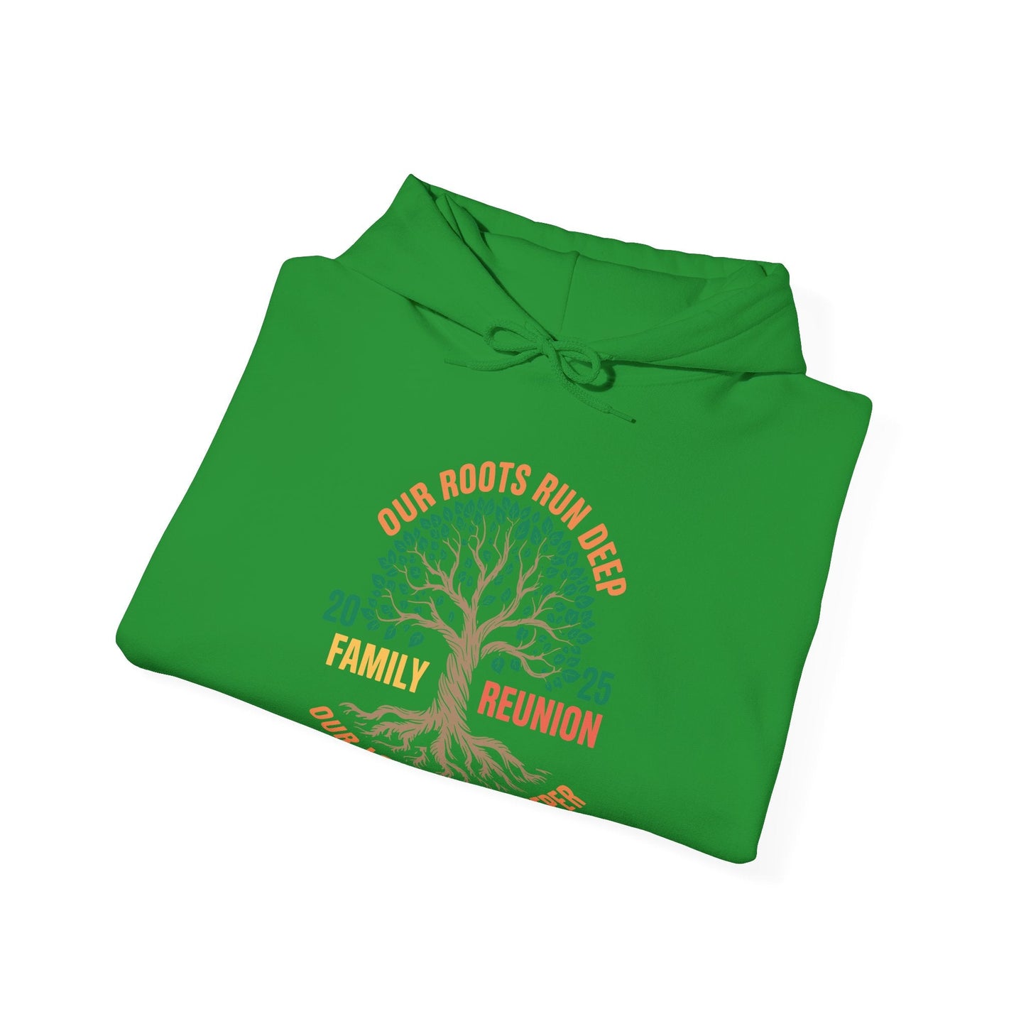 Retro Family Reunion Party 2025 Hoodie