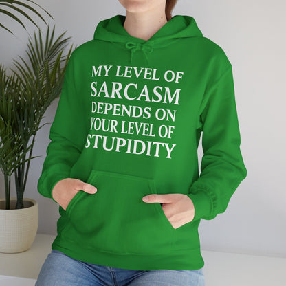 Funny Sarcastic Humor My Level of Sarcasm Sarcastic Quote Hoodie