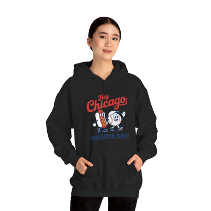 Hey Chicago Whadya Say Baseball and Hot Dog 4th of July Men Women Hoodie