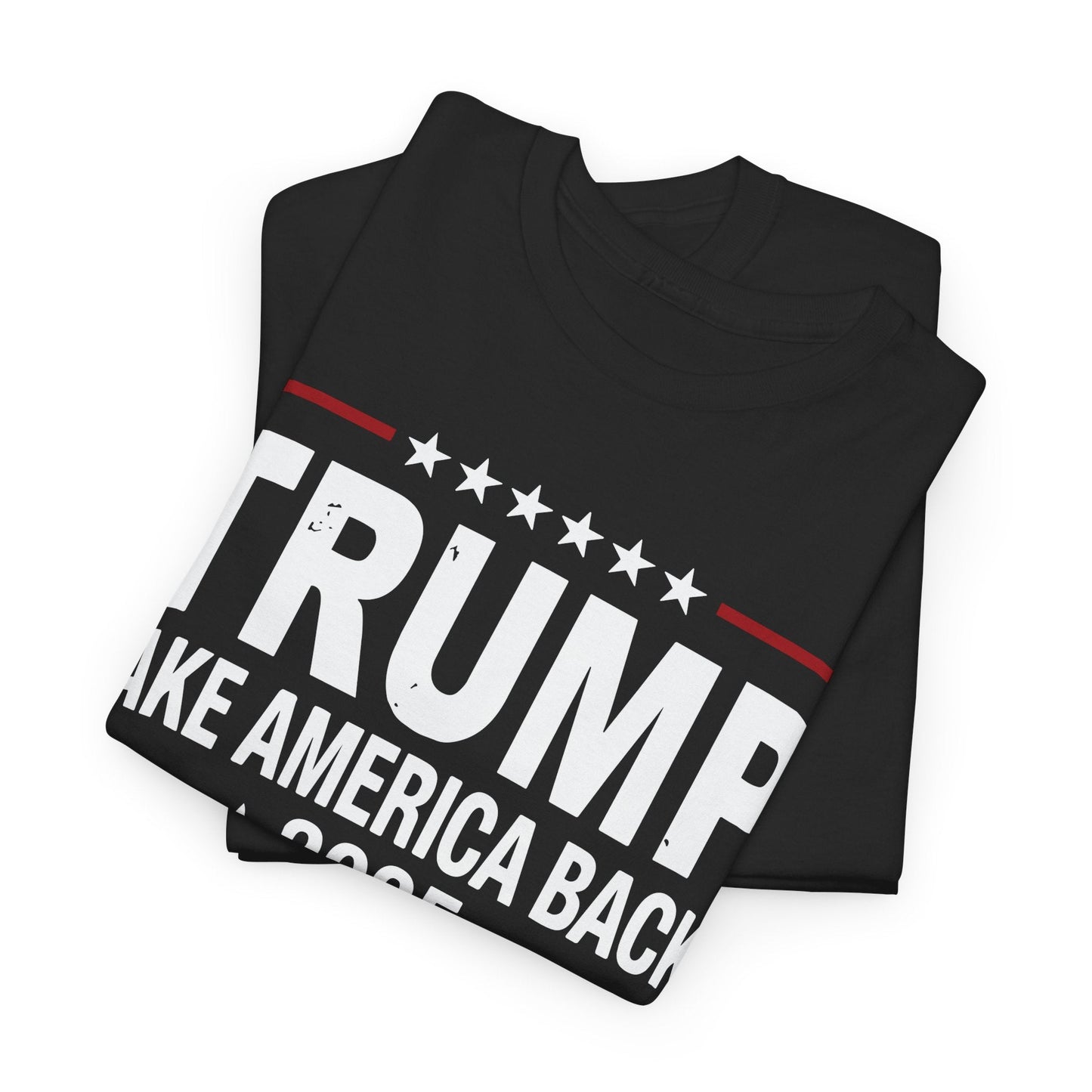 Donald Trump 2025 Take America Back Election T-Shirt
