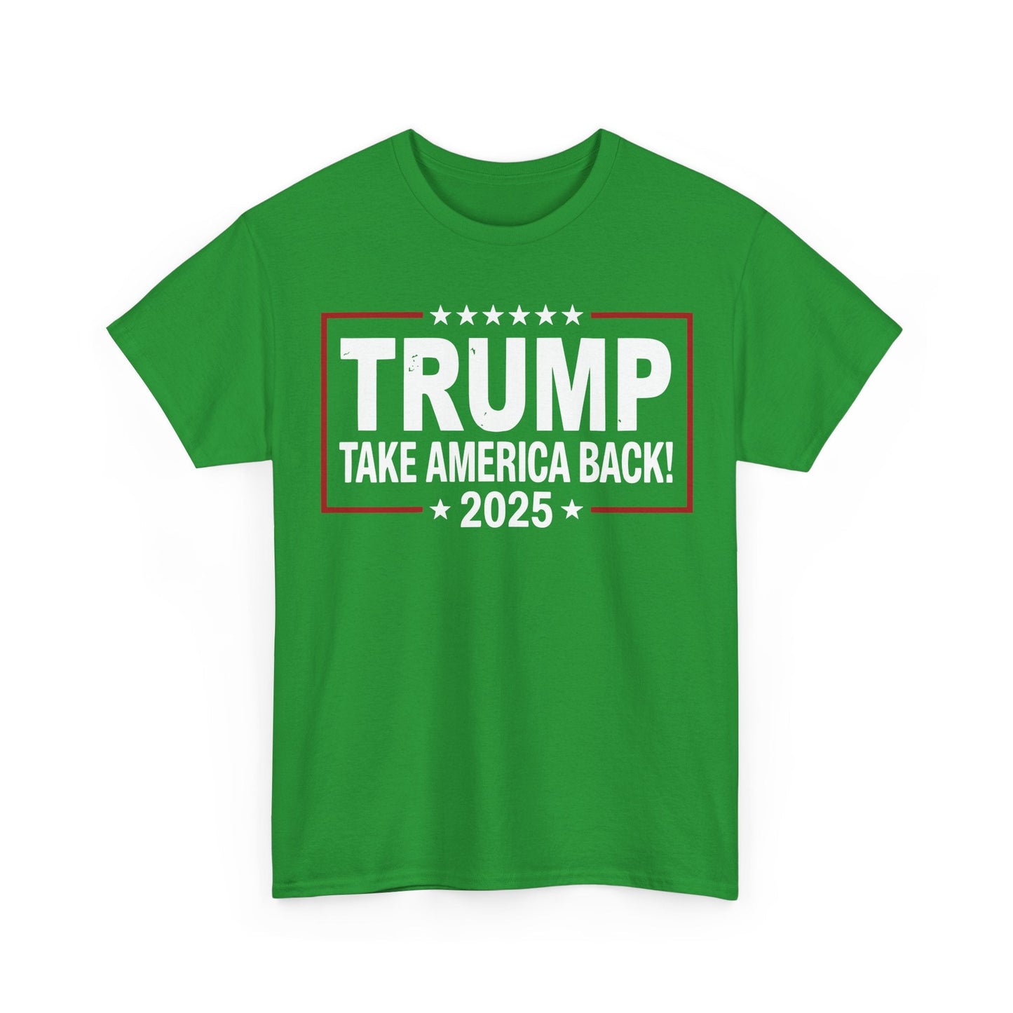 Donald Trump 2025 Take America Back Election T-Shirt