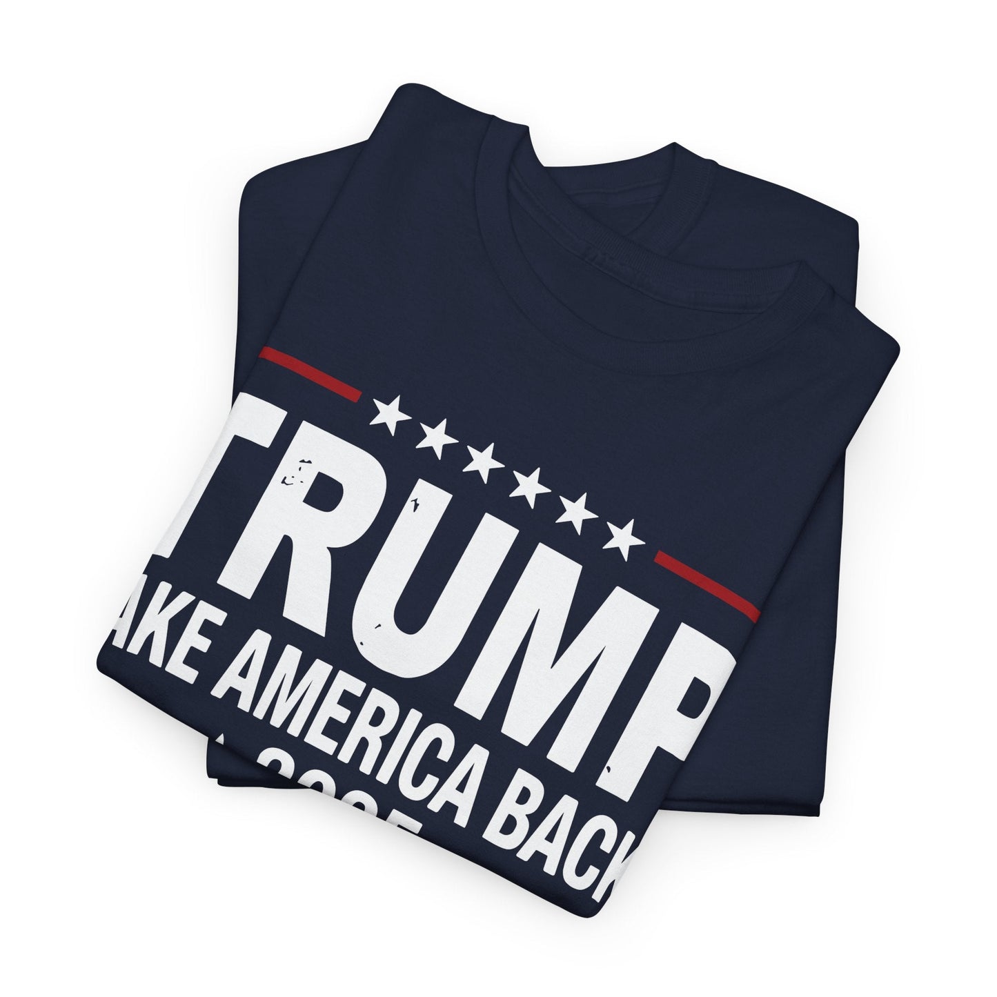 Donald Trump 2025 Take America Back Election T-Shirt