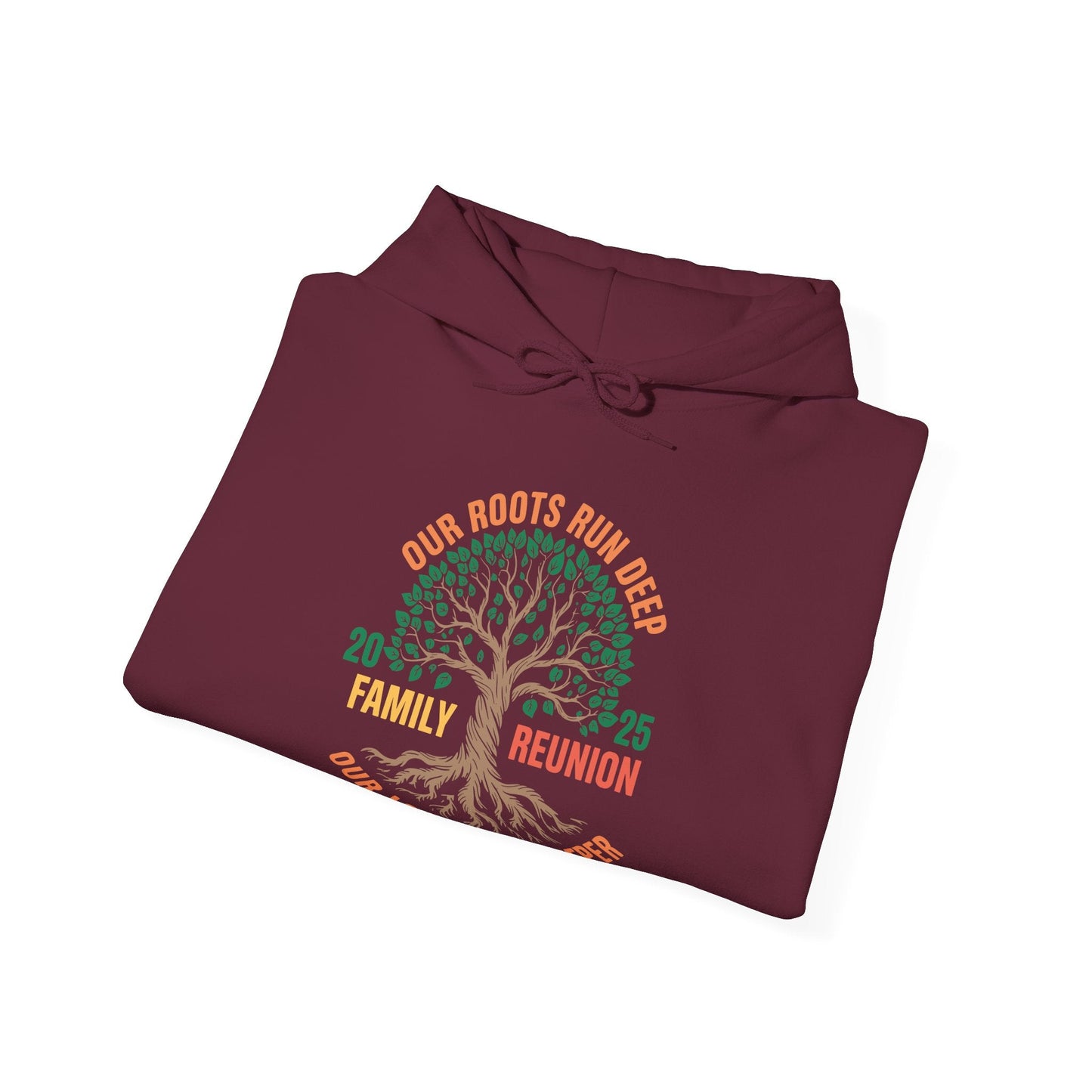 Retro Family Reunion Party 2025 Hoodie
