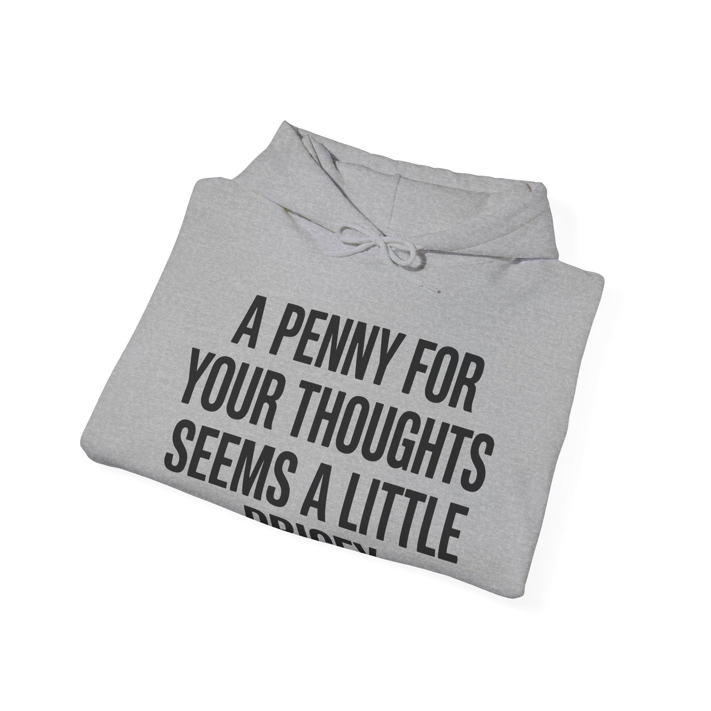 Funny Penny For Your Thoughts Sarcastic Joke Hoodie
