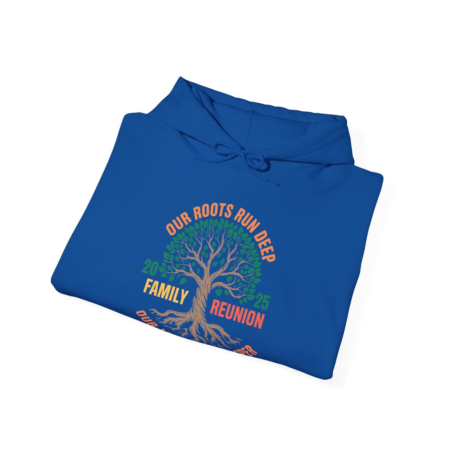 Retro Family Reunion Party 2025 Hoodie