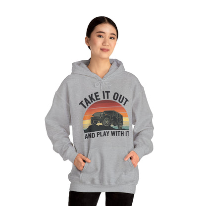 Catch Some Rays Vintage Retro Take It Out And Play Hoodie