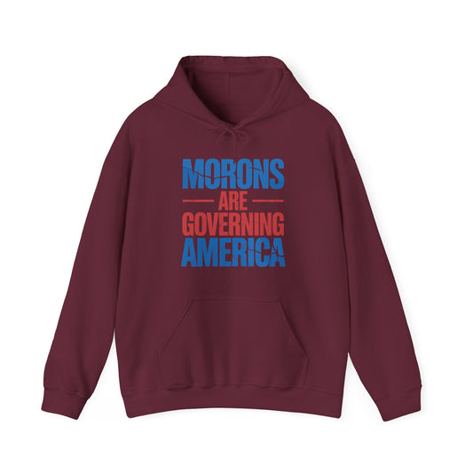 Morons Are Governing America Trump 2025 Hoodie
