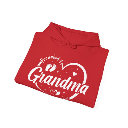 Promoted to Grandma Est 2025 Soon to be Grandma Mothers Day Hoodie