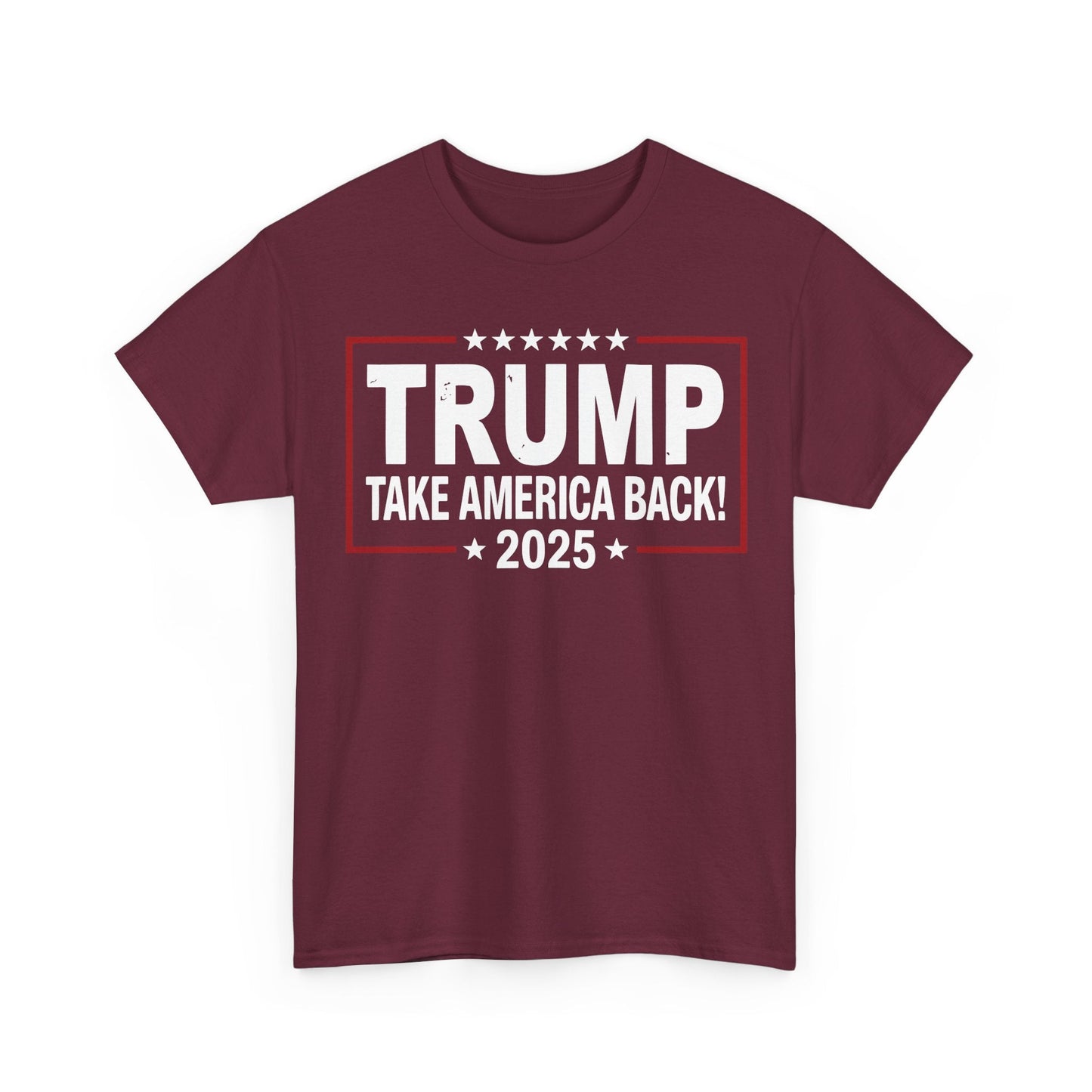 Donald Trump 2025 Take America Back Election T-Shirt