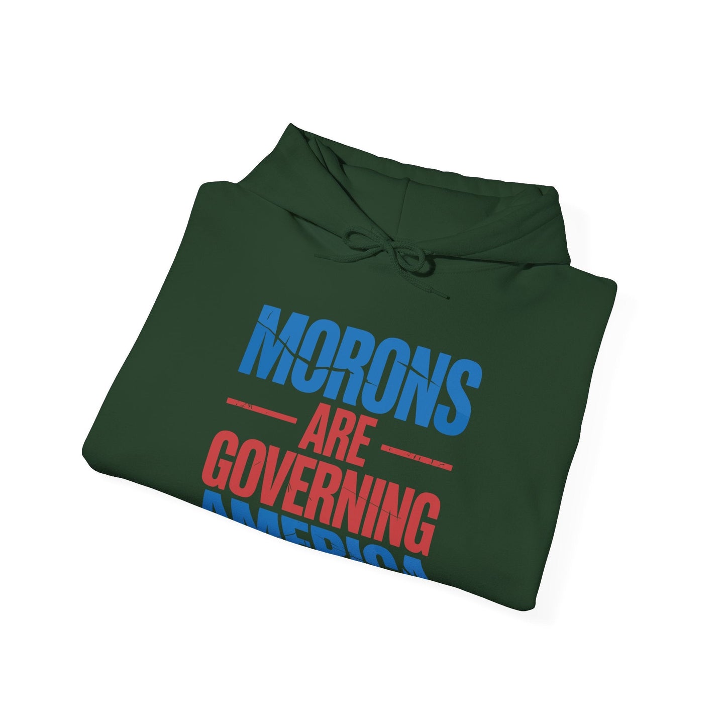 Morons Are Governing America Trump 2025 Hoodie