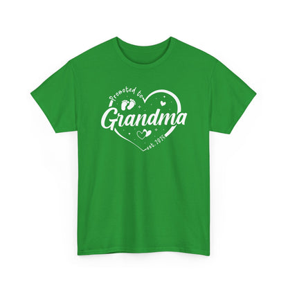 Promoted to Grandma Est 2025 Soon to be Grandma Mothers Day T-Shirt