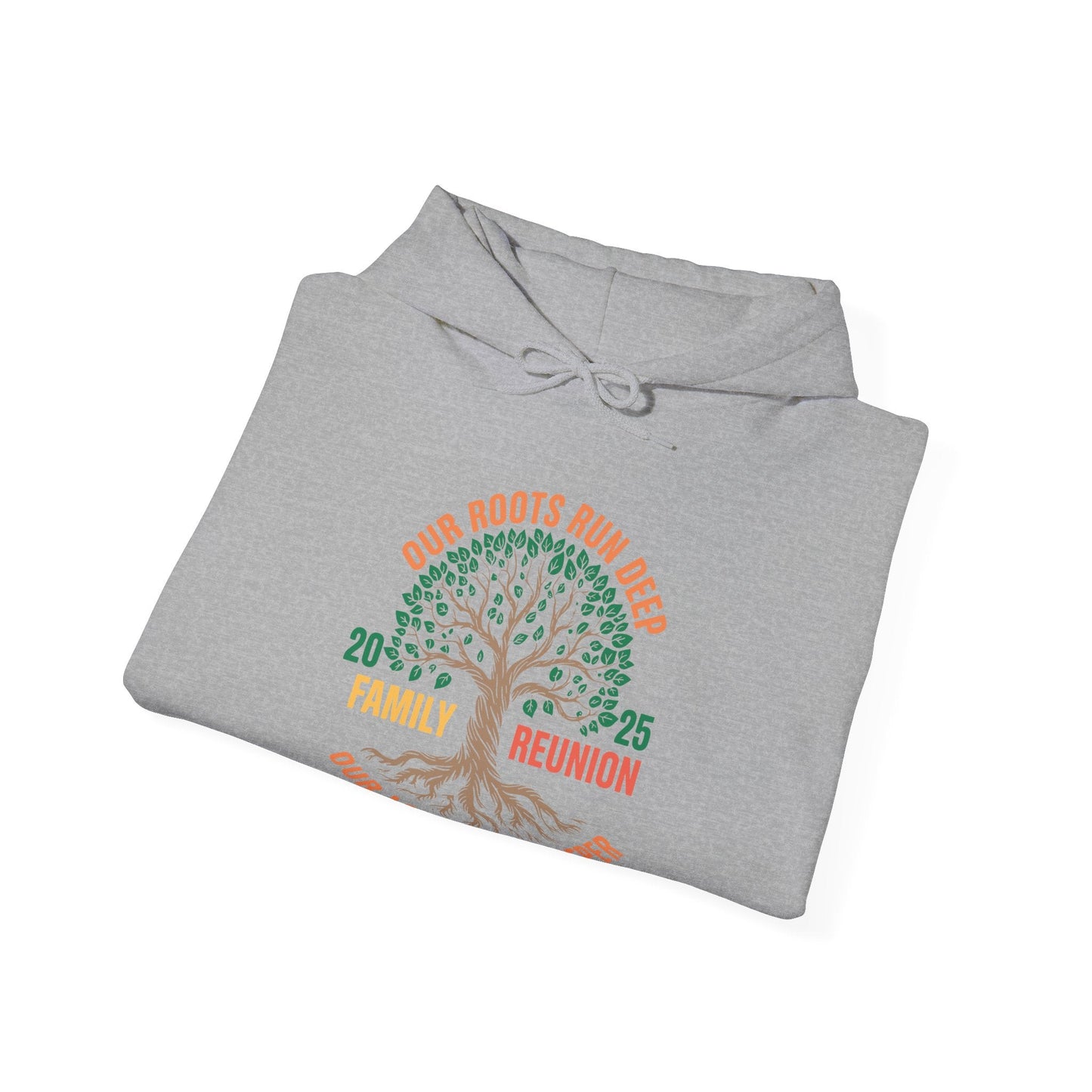 Retro Family Reunion Party 2025 Hoodie