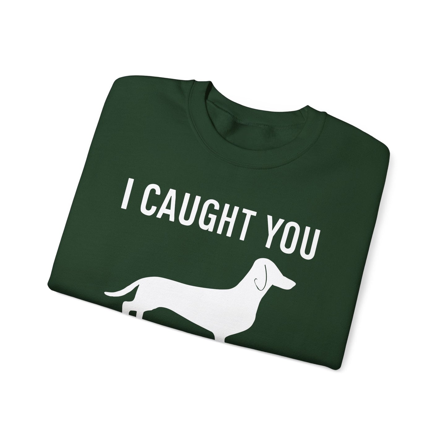 Wiener Dog T Shirt Dachshunds Weiners Hounds Pet Men Women Sweatshirt