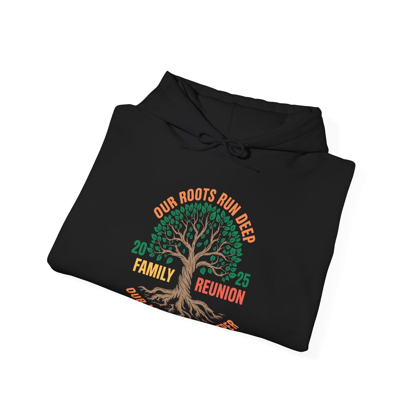 Retro Family Reunion Party 2025 Hoodie
