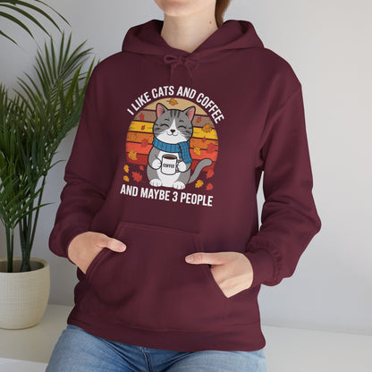 I Like Cats And Coffee And Maybe 3 People , Cats Lover Hoodie