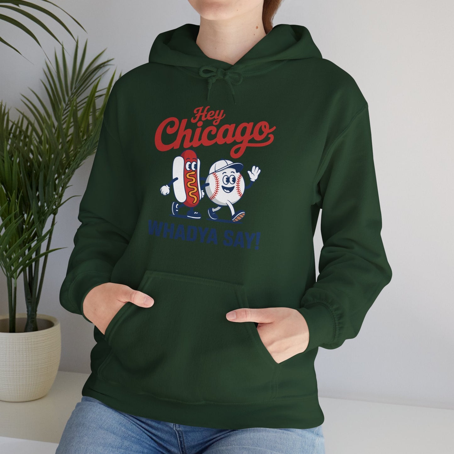 Hey Chicago Whadya Say Baseball and Hot Dog 4th of July Men Women Hoodie