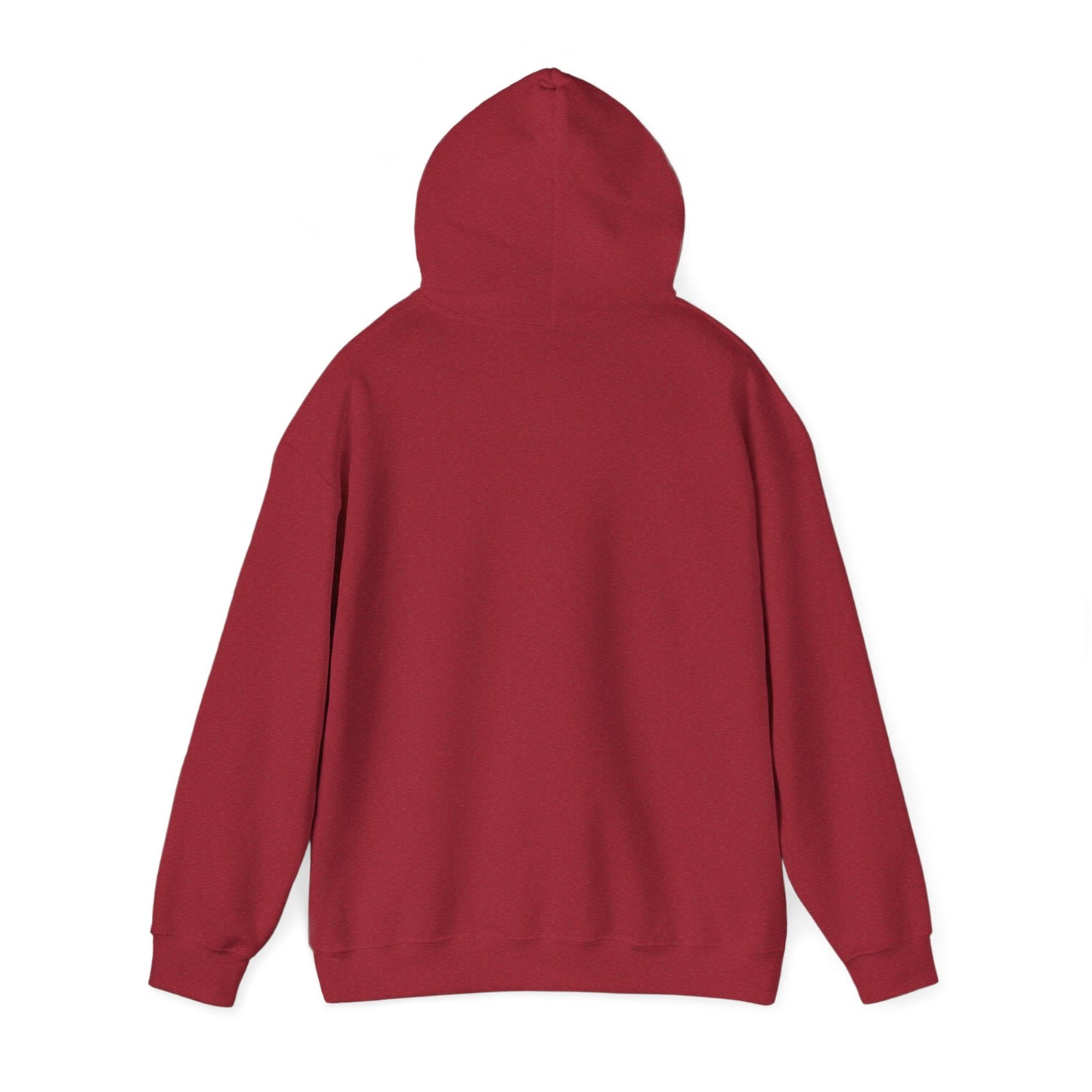 Cold Days Club Retro Aesthetic Hoodie