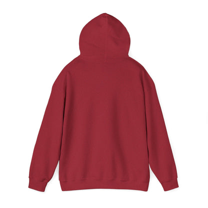 Cold Days Club Retro Aesthetic Hoodie