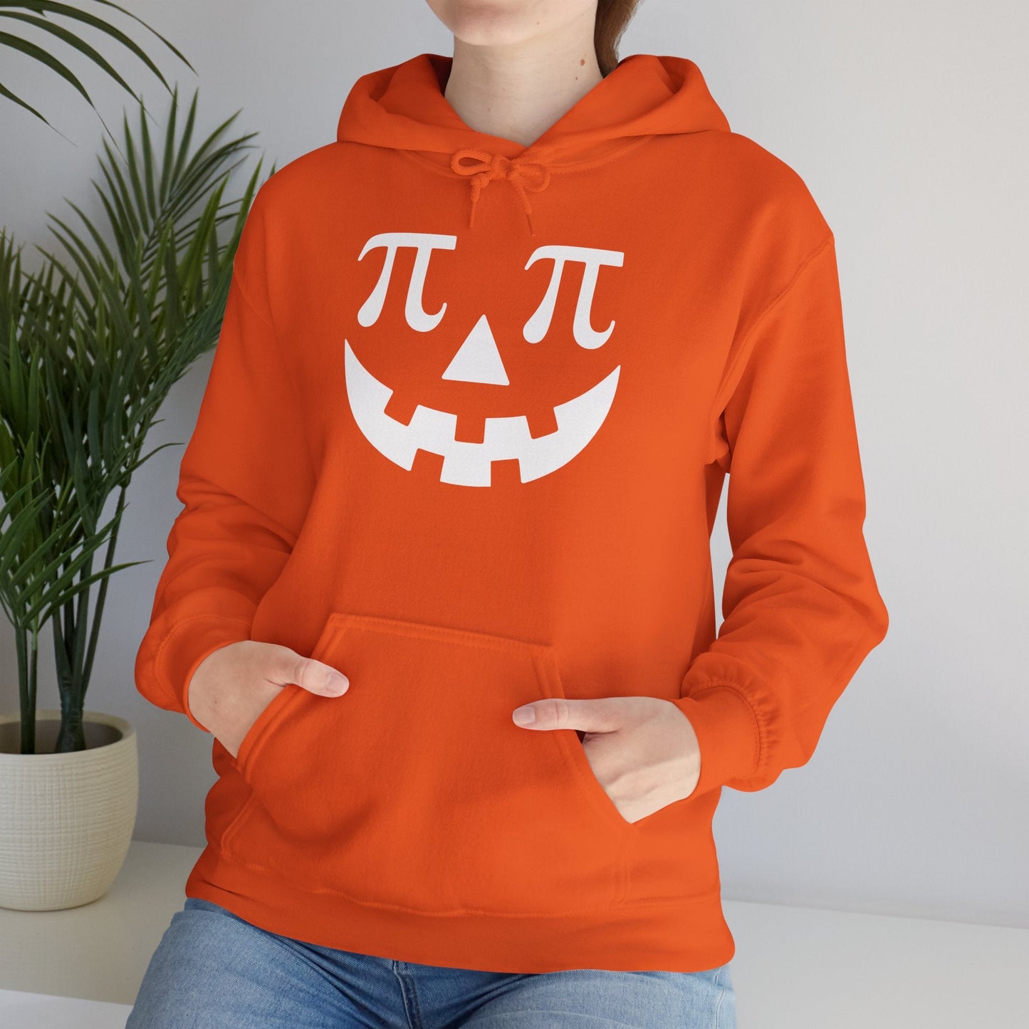 Pumpkin Pi Pie Hoodie, Punny Halloween Costume, Math Pun Hoodie