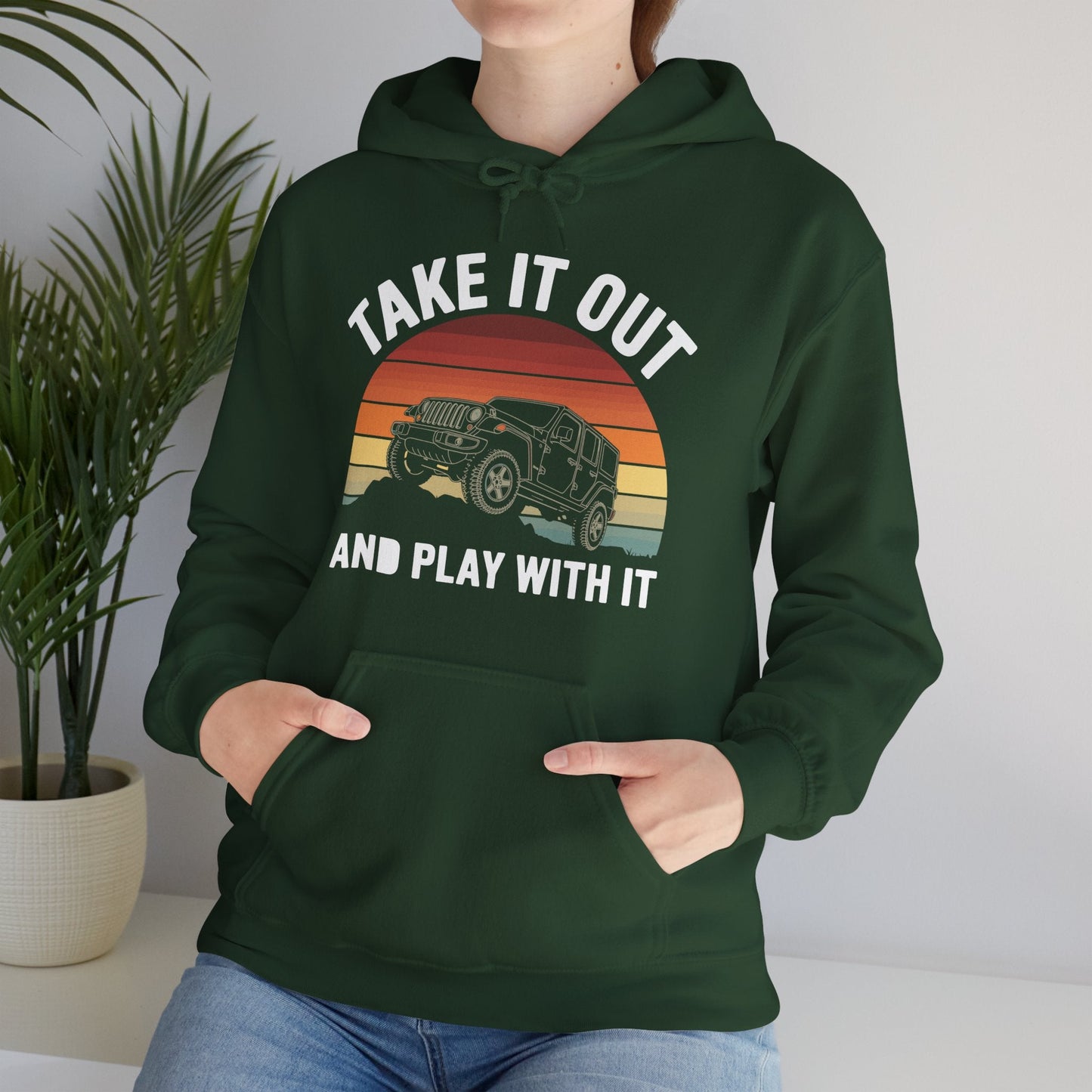 Catch Some Rays Vintage Retro Take It Out And Play Hoodie