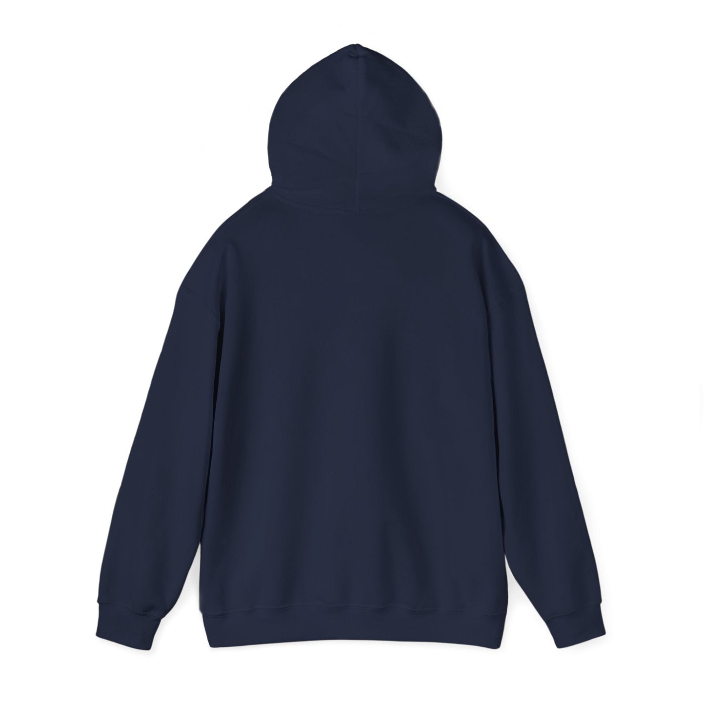 Retro Family Reunion Party 2025 Hoodie
