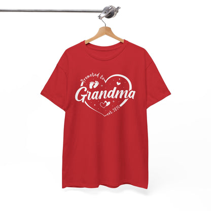 Promoted to Grandma Est 2025 Soon to be Grandma Mothers Day T-Shirt