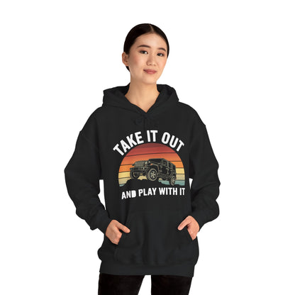 Catch Some Rays Vintage Retro Take It Out And Play Hoodie