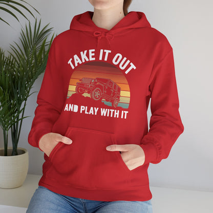 Catch Some Rays Vintage Retro Take It Out And Play Hoodie