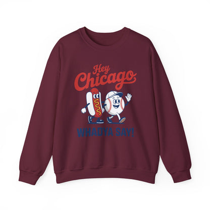 Hey Chicago Whadya Say Baseball and Hot Dog 4th of July Men Women Sweatshirt