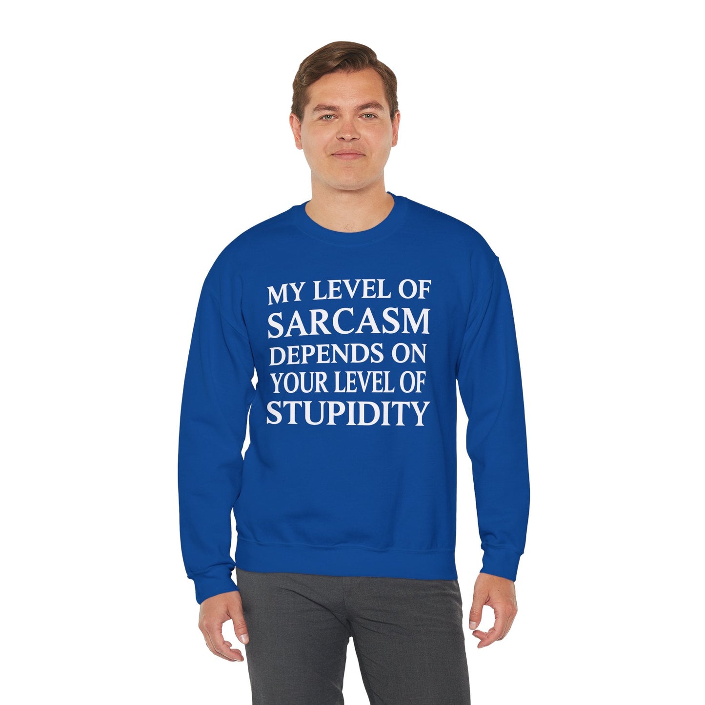 Funny Sarcastic Humor My Level of Sarcasm Sarcastic Quote Sweatshirt
