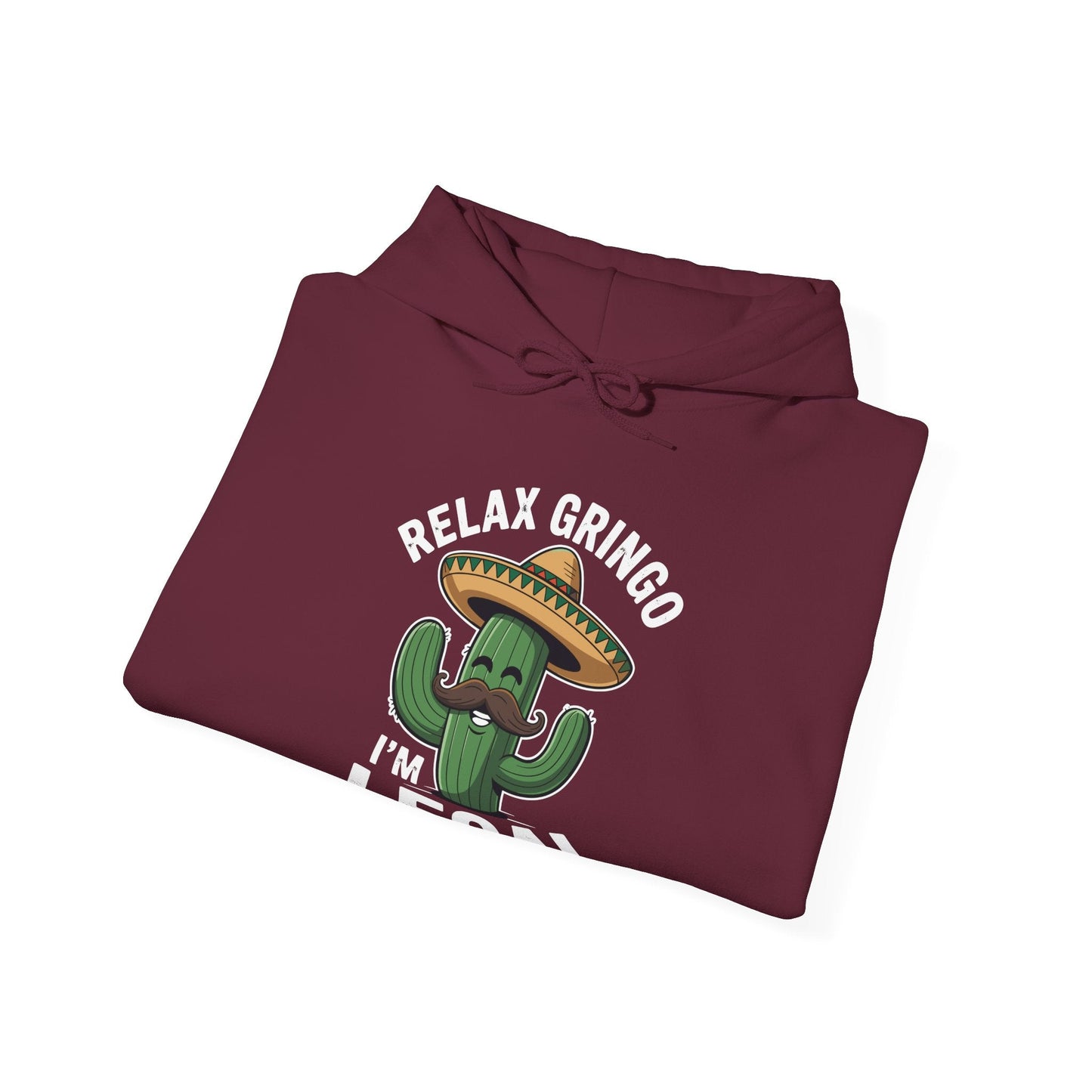 Funny Relax Gringo Im Legal Cinco De Mayo Mexican Immigrant Hoodie
