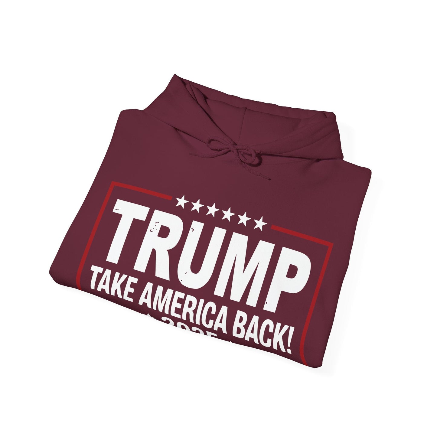 Donald Trump 2025 Take America Back Election Hoodie