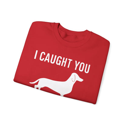 Wiener Dog T Shirt Dachshunds Weiners Hounds Pet Men Women Sweatshirt