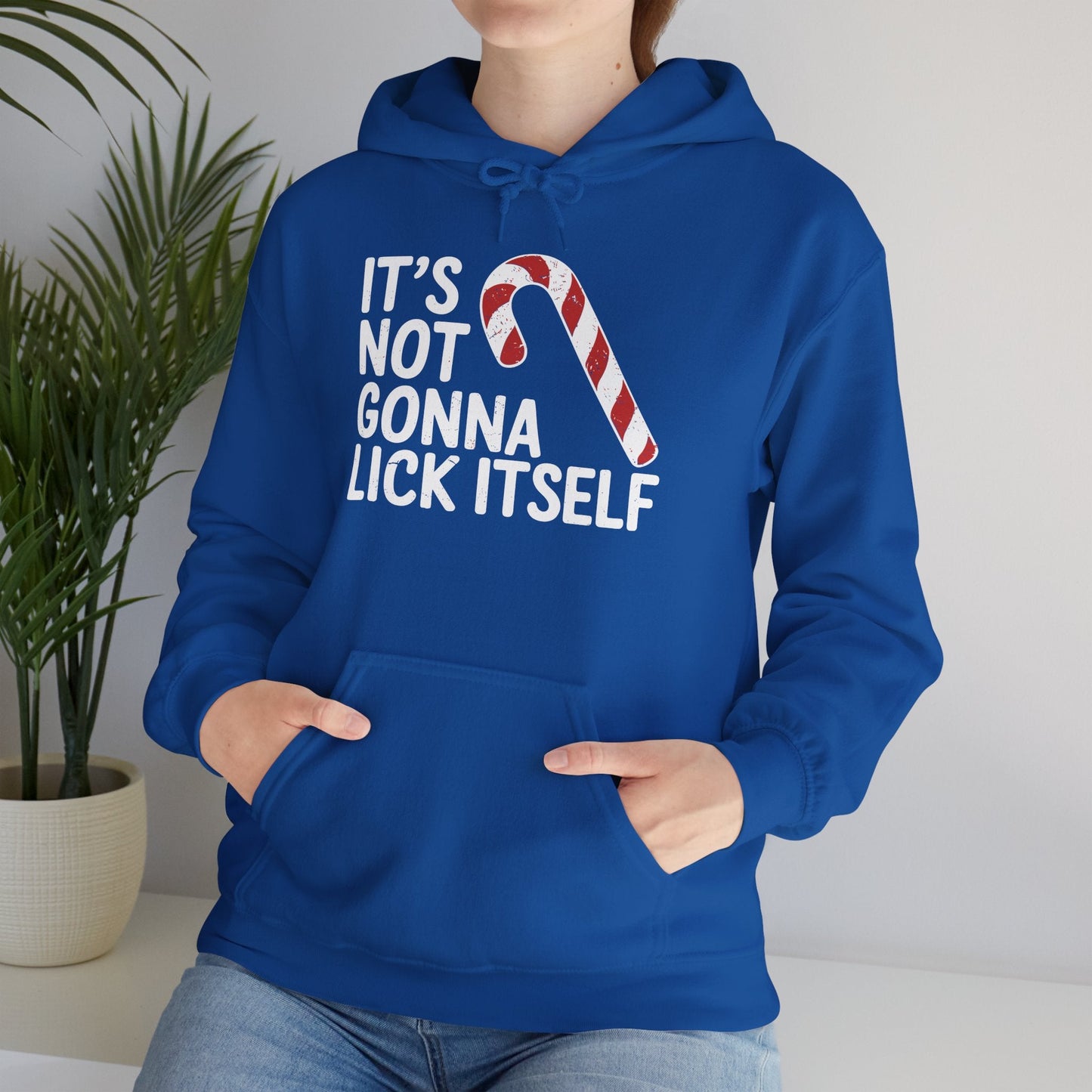 Funny Candy Cane Lick Itself Adult Christmas in July Gift Hoodie