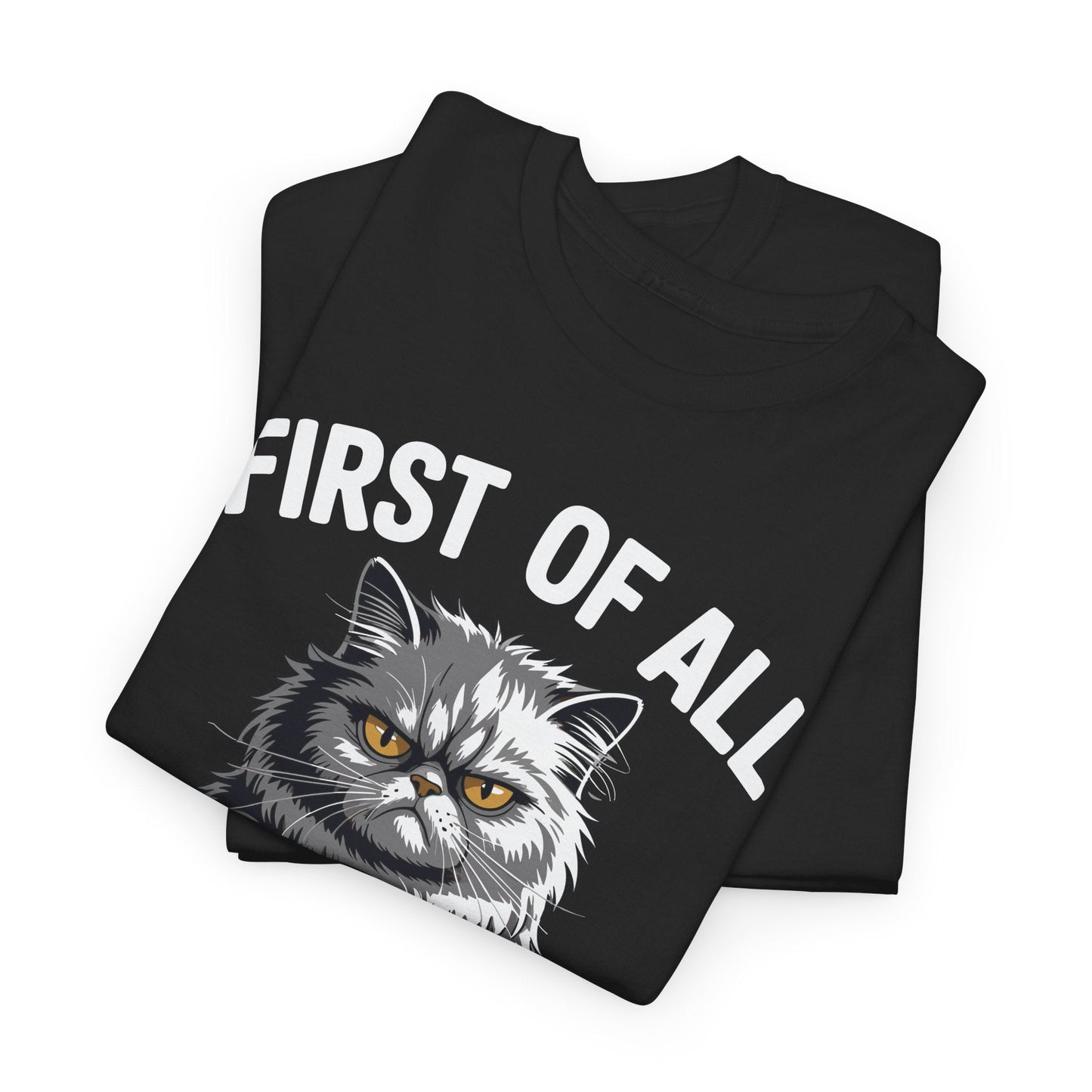 First Of All I'm A Delight Sarcastic Angry Cat Coffee Lover T-Shirt for Men Women