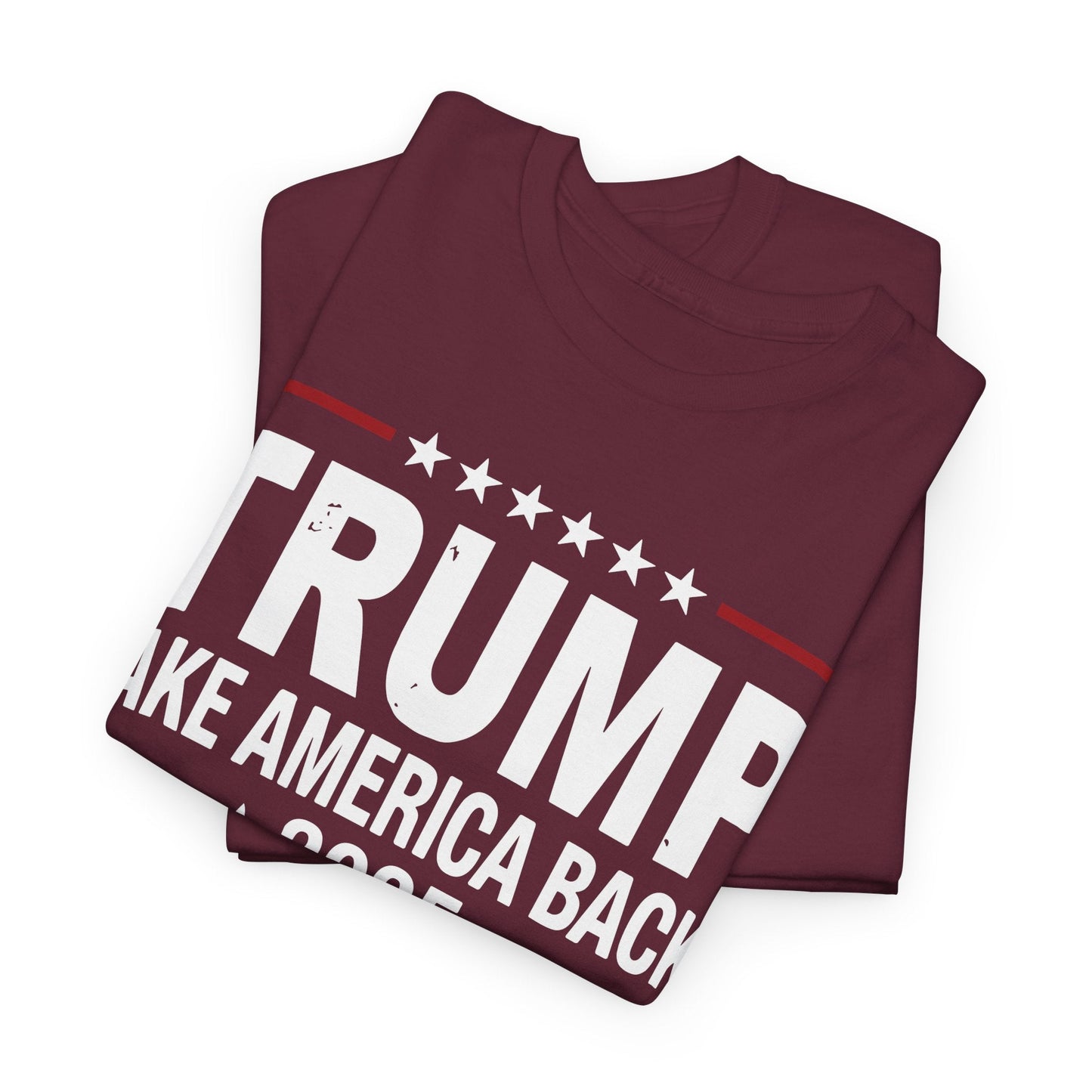 Donald Trump 2025 Take America Back Election T-Shirt