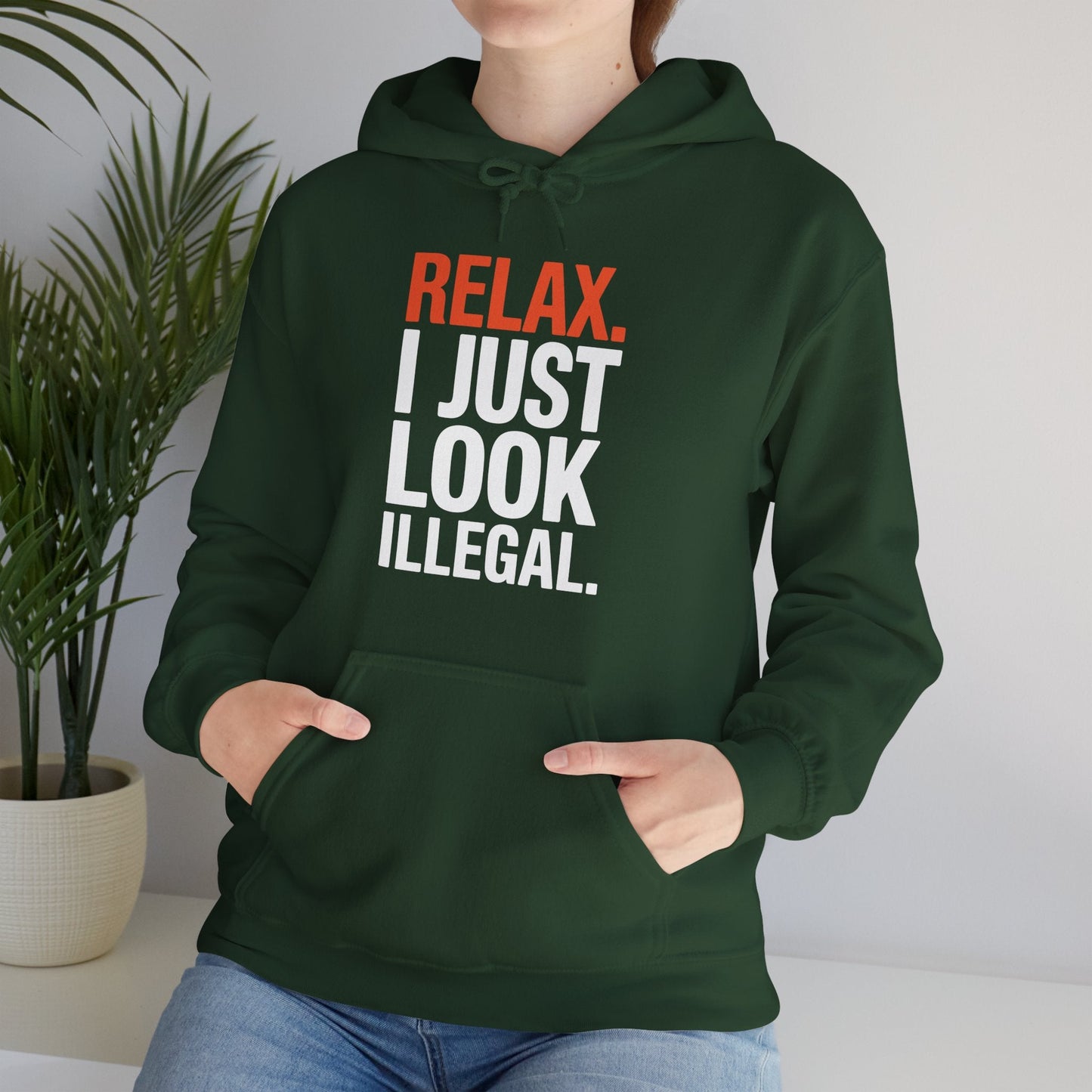 Funny Relax, I Just Look Illegal Sarcastic Hoodie
