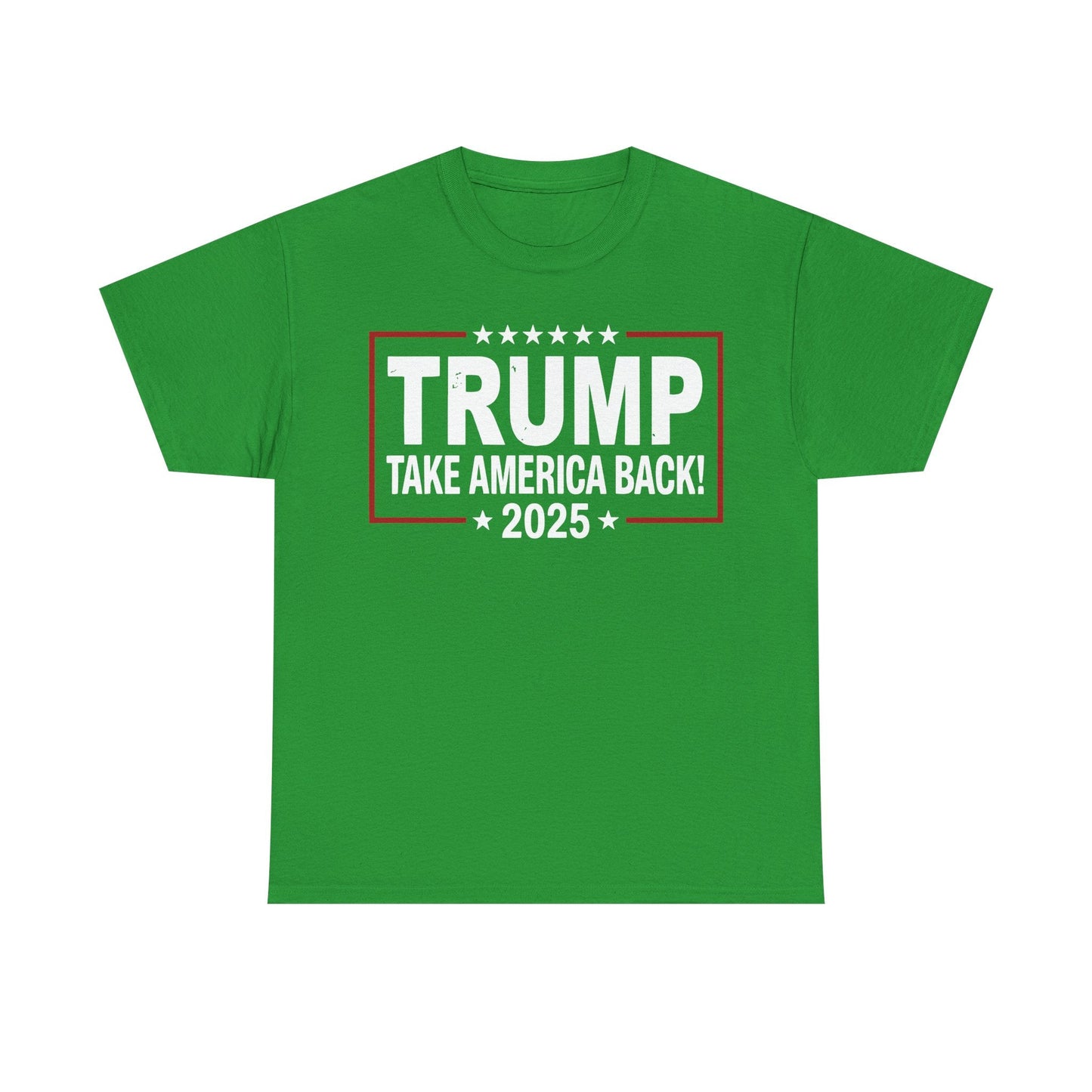 Donald Trump 2025 Take America Back Election T-Shirt