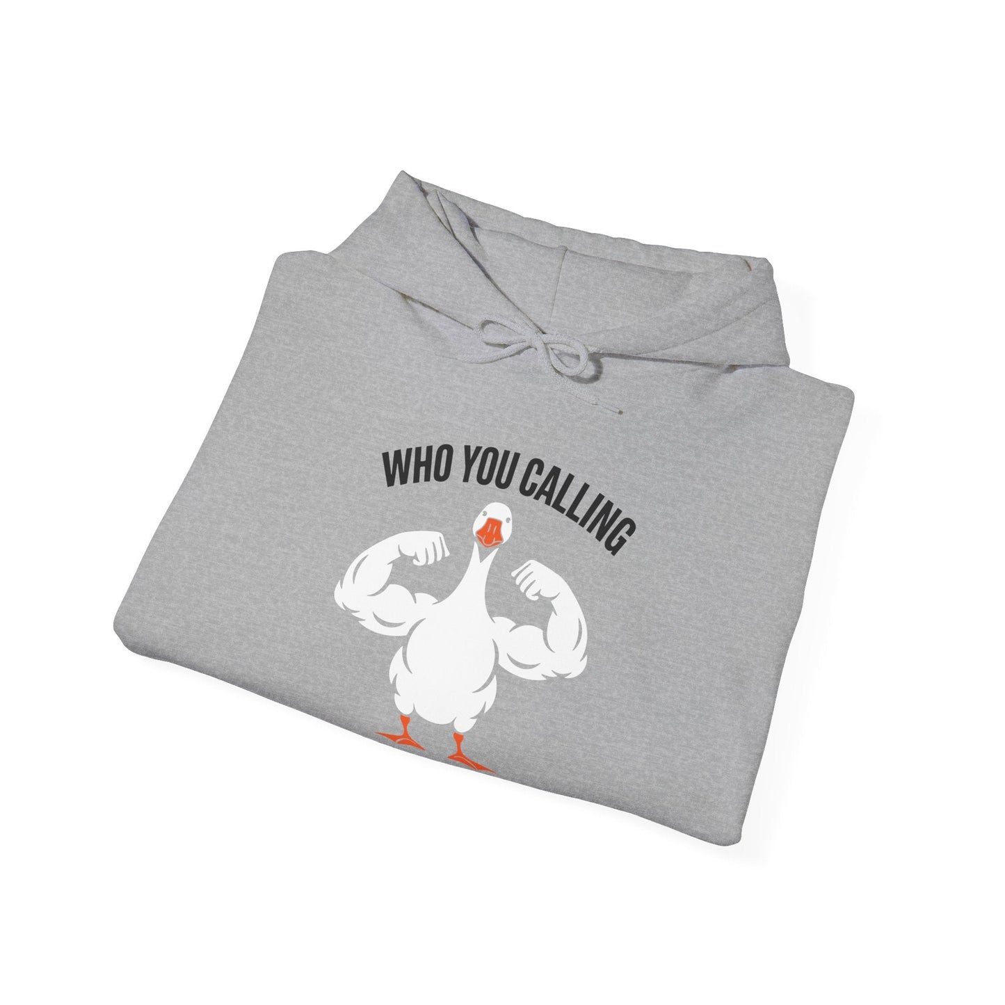 Who You Calling Silly Goose Funny Gym Meme Hoodie