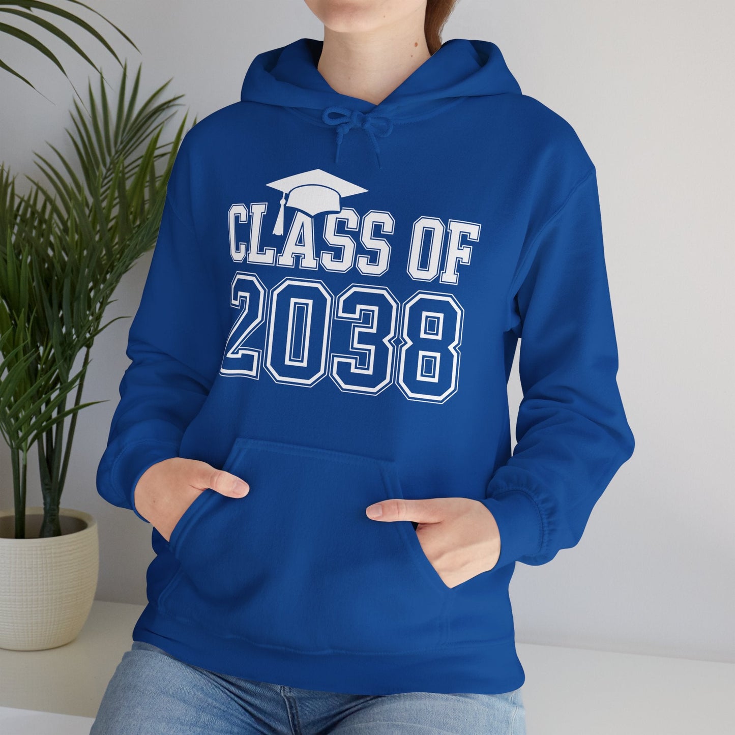 Class of 2038 Grow With Me Funny Kindergarten Back To School Hoodie