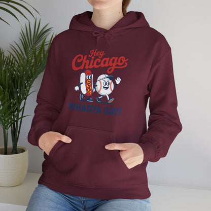 Hey Chicago Whadya Say Baseball and Hot Dog 4th of July Men Women Hoodie
