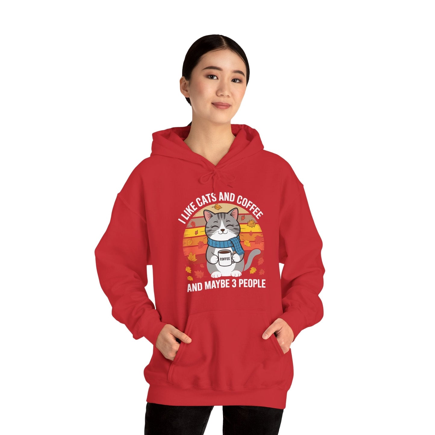 I Like Cats And Coffee And Maybe 3 People , Cats Lover Hoodie